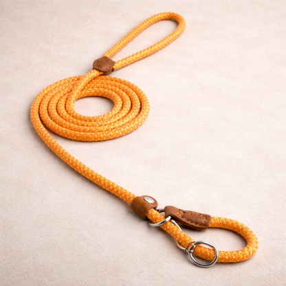 Braided Rope Dog Lead Set