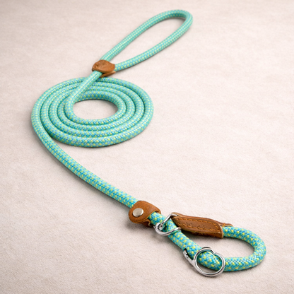 Braided Rope Dog Lead Set