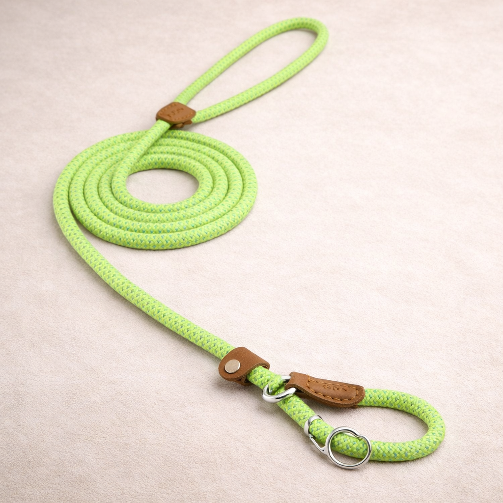 Braided Rope Dog Lead Set