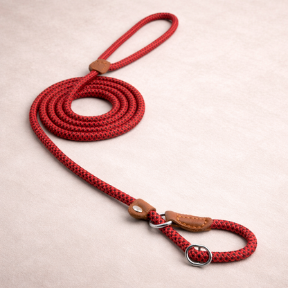 Braided Rope Dog Lead Set