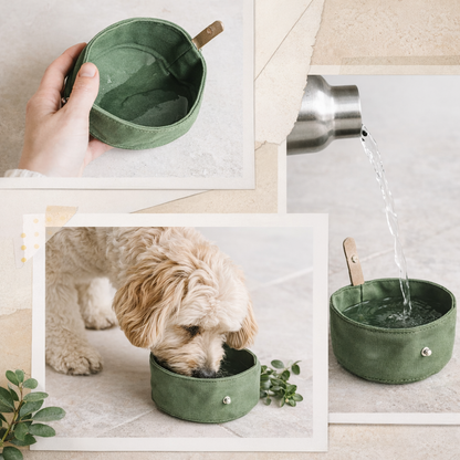 Collapsible Canvas Dog Bowl for Walks & Travel