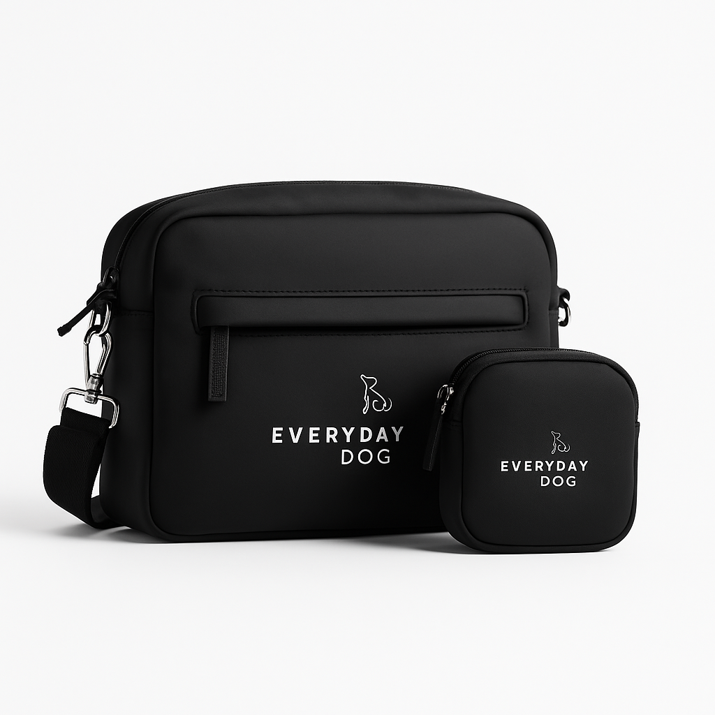 The Everyday Walk Bag