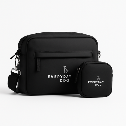 The Everyday Walk Bag