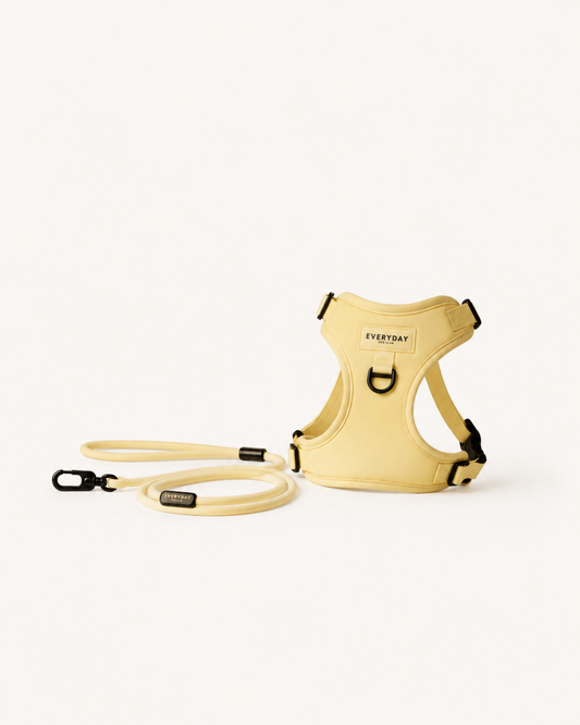 Butter Walk Set