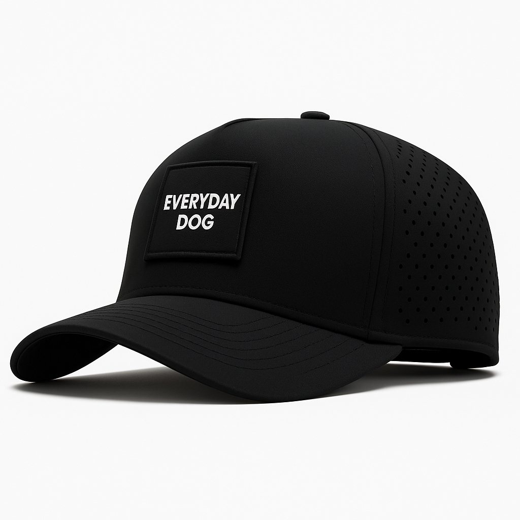 The Everyday Cap