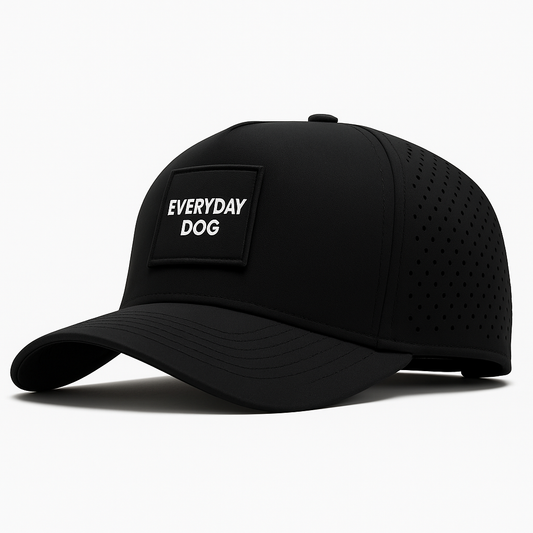 The Everyday Cap